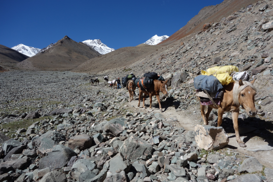 Broumovští horolezci vystoupili na šestitisícovou horu Stok Kangri