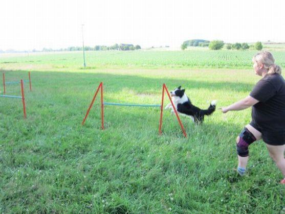 Psí parkur v Polici nad Metují zahajuje svoji činnost