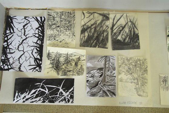 Studenti z pražského Žižkova přijeli kreslit na Broumovsko