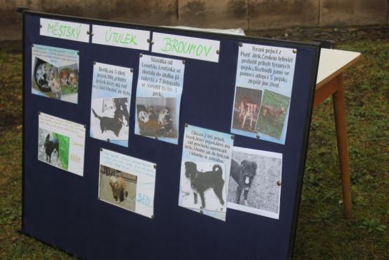 O pět zanedbaných psů z mediálně známého příběhu z Vysočiny se stará broumovský útulek