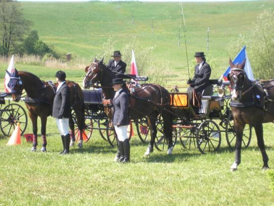 Mezinárodní závody koňských spřežení pořádali o víkendu v Polici nad Metují