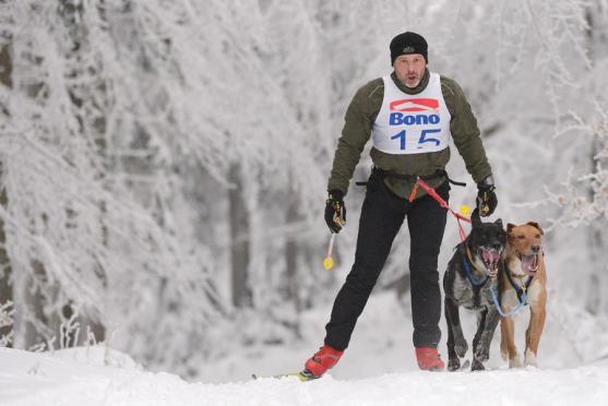 Janovičky patřily musherům a jejich psům