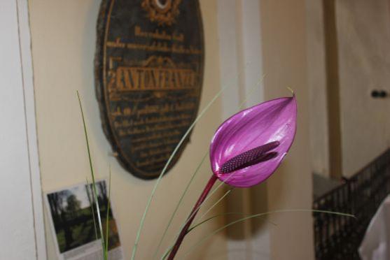 V Muzeu Broumovska lze od soboty projít "benediktinskou cestu“ 