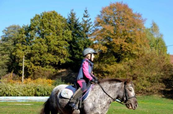Hubertova jízda Jetřichov pomáhá 