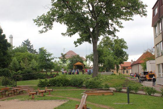 Den s arboristy v Naší zahradě