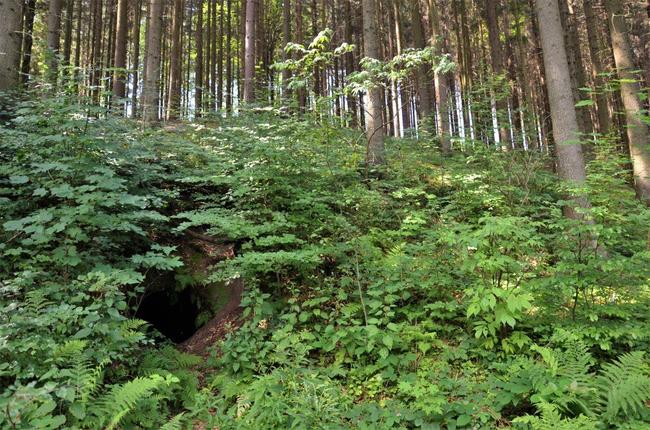 Další putování za zapomenutou historií Broumovska