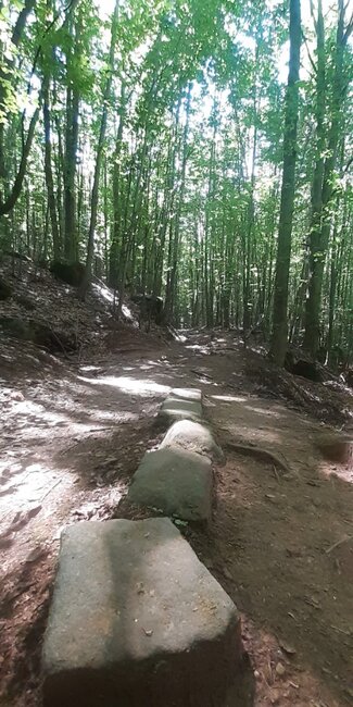 Pohádkové vodopády pod Hejšovinou