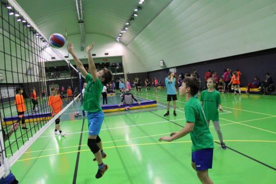 Lednové volejbalové akce