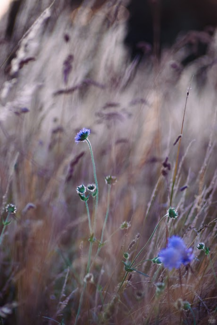 Tvář a vous absolventa broumovského gymnázia dominují článku v MF Dnes