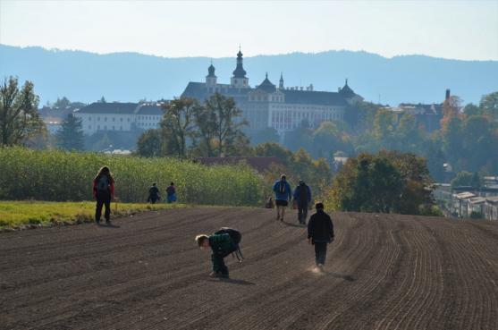 S geologem za prvohorními sopkami Javořích hor