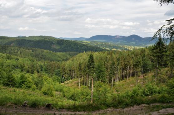 Ze Žacléře přes Liščí kameny na Stachelberg