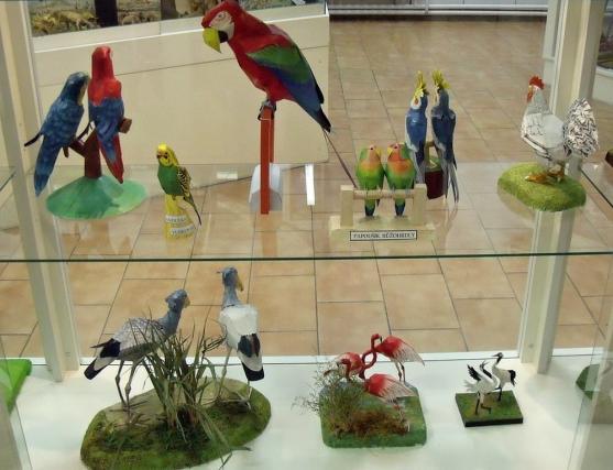 Muzeum papírových modelů připravilo pro návštěvníky novou podzimní výstavu s názvem Nová ZOO v České republice