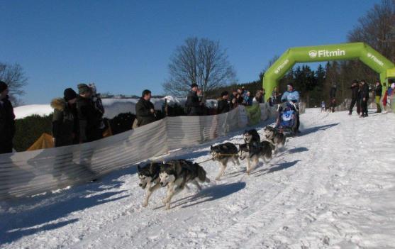 Změna místa závodům psích spřežení neuškodila. Naopak!