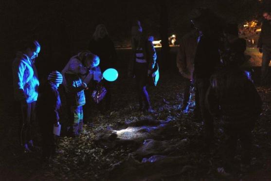 Alejka již popáté patřila čarodějkám, elfkám, smrtkám...