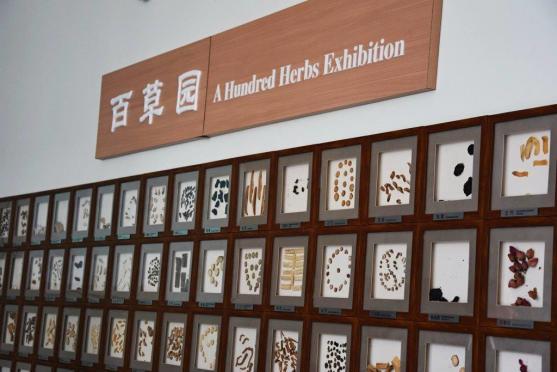 Královéhradecký kraj navštívila delegace z čínského Chongqingu