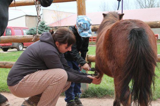 Za vysvědčení Den na koni