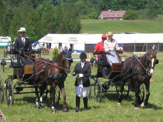 Mezinárodní závody koňských spřežení pořádali o víkendu v Polici nad Metují