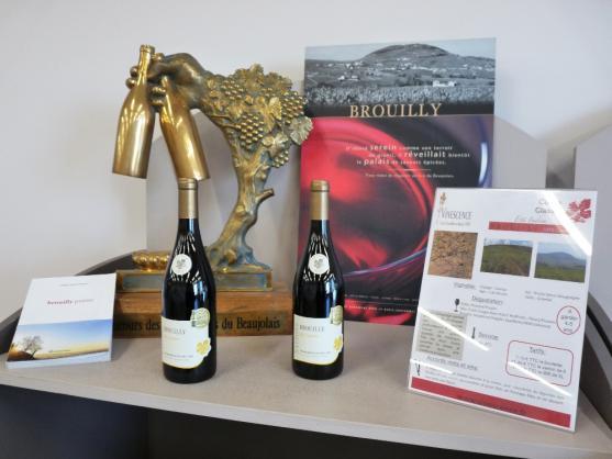 Pečená husa versus kohout na víně aneb Čecha prezervativy nepotěší 