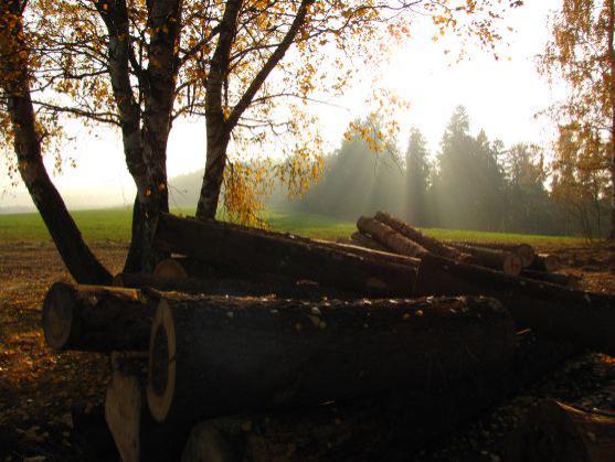 Fotoreportáž: Vzpomínka na barevný podzim