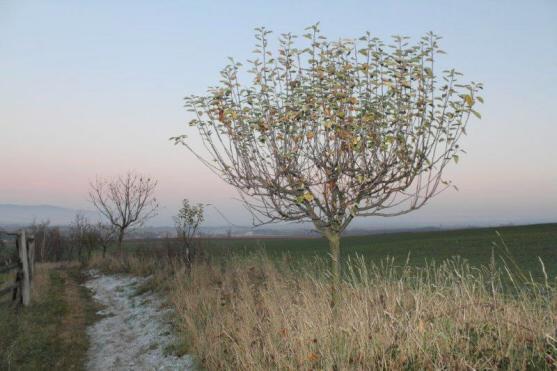 Fotoreportáž: Krásy Broumovska