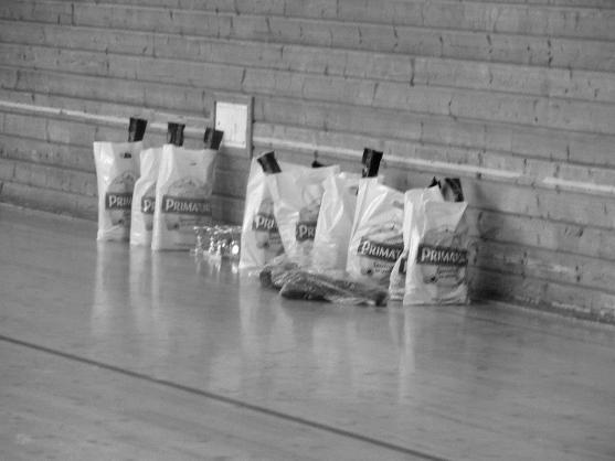 Fotbalový Sudety Cup 2012 vyhrál tým hráčů z celého kraje Oriente