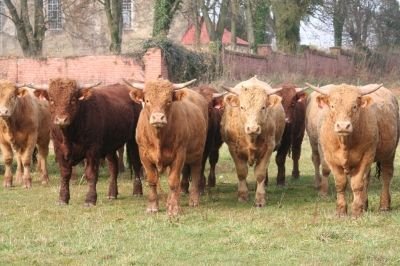 Nové produkty získaly regionální značku Broumovska