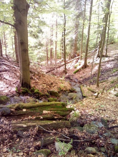 Broumovský chodec se blíží k nejvýchodnějšímu místu republiky