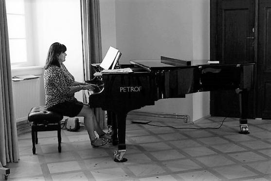 Posluchačům sedmého "pokladového" koncertu se představí lektoři Letních hornových kurzů