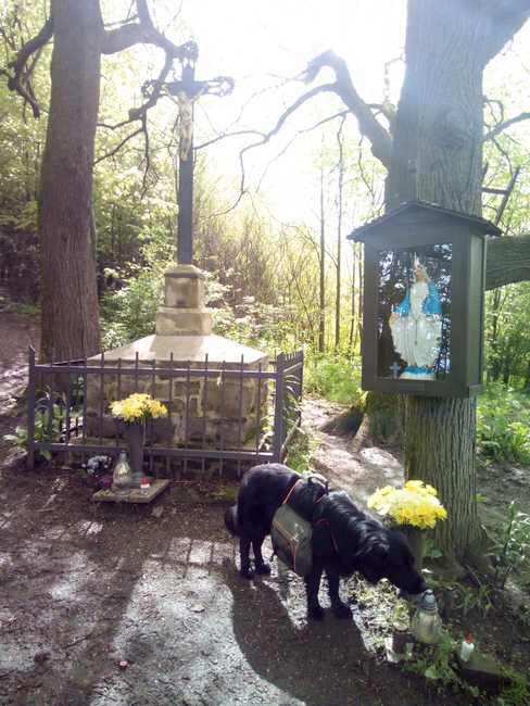 Broumovský chodec se blíží k nejvýchodnějšímu místu republiky