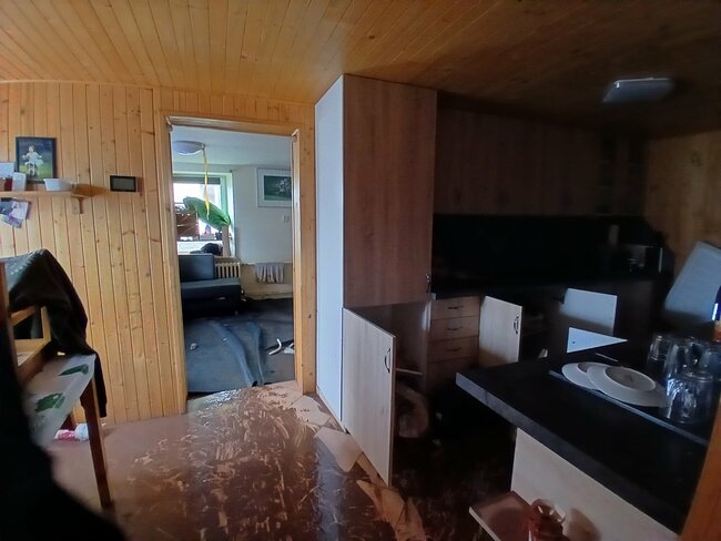 Díval jsem se z okna a brečel