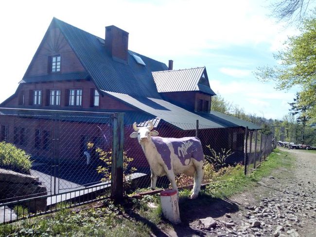 Broumovský chodec se blíží k nejvýchodnějšímu místu republiky