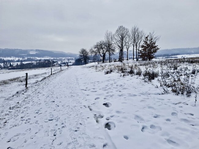 Kolem Meziměstí – za koníky kamennými i skutečnými