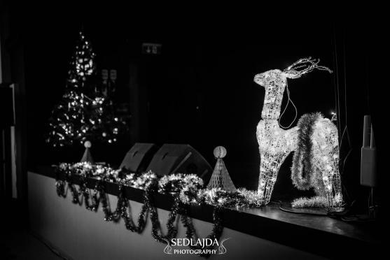 Adventní koncert podpořil broumovské děti z Dětského domova a Martina Rozuma z Hejtmánkovic