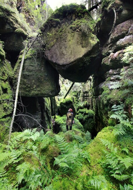 V terénu jsem častěji než profesionální ochranář