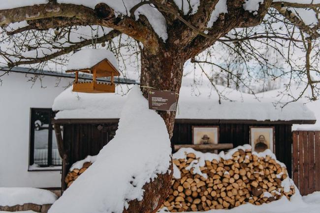 Jabloň u Lidmanů soutěží o titul Evropský strom roku 
