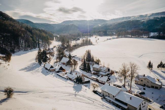 Jabloň u Lidmanů soutěží o titul Evropský strom roku 