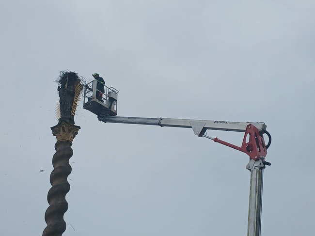 Přijmou čápi nové hnízdo? V rozebraném hnízdě vejce nebylo