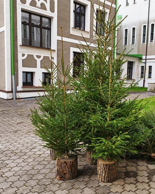 Broumov má svůj betlém