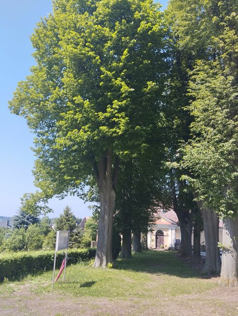 Bezděkov nad Metují získal Zlatou cihlu v soutěži Vesnice roku