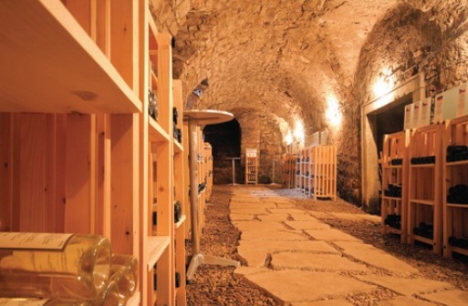Ve vinné galerii v Broumově lze ochutnat víno od Vinaře roku 2011