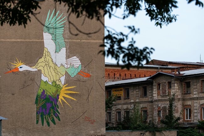 Broumovský mural byla opravdová výzva
