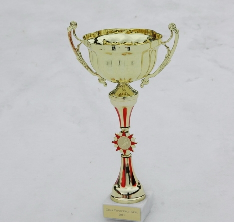 Lyžařské závody v Teplicích nad Metují 