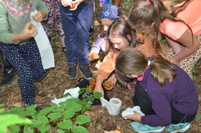 Netrus trus, je to hnus!