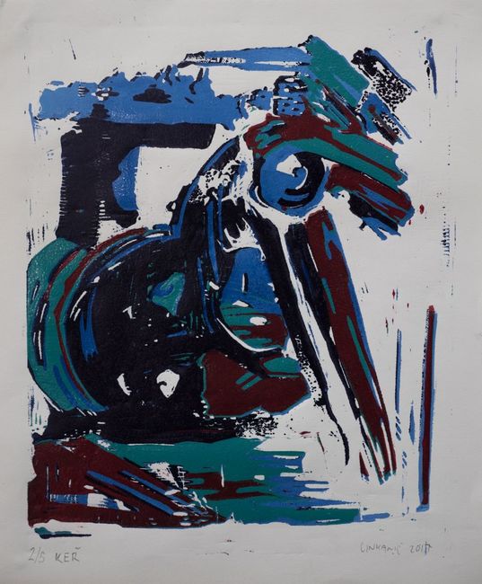 Lukáš Cinkanič - Šílenec otevřený světu!