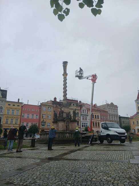 Přijmou čápi nové hnízdo? V rozebraném hnízdě vejce nebylo