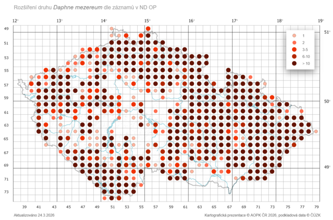 Lýkovec – voňavý posel brzkého jara