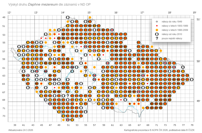 Lýkovec – voňavý posel brzkého jara