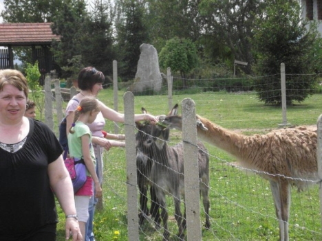 Děti ze základní školy v polské Nové Rudě na výletě v Broumově
