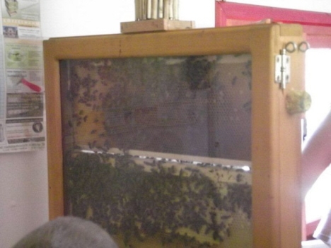 Děti ze základní školy v polské Nové Rudě na výletě v Broumově