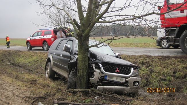 "Tragickým následkům dopravních nehod nejlépe zabrání prevence, nikoliv plošné kácení stromů," tvrdí nezisková organizace Arnika